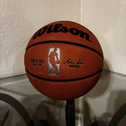 Wilson basketball 