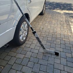 Goalie Stick