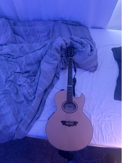 Washburn guitar