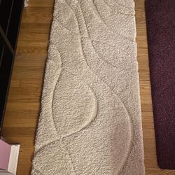 Area Rug / Runner 