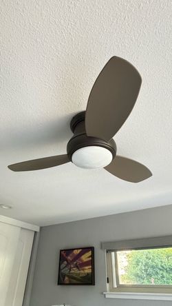 Ceiling fan