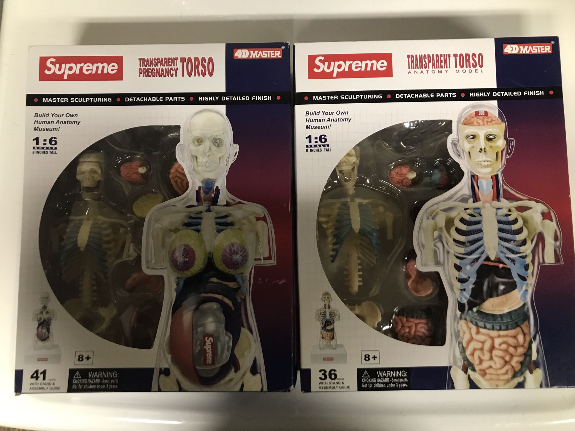 Supreme anatomy models