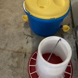 Chicken Supply 
