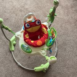 Fisher Price Baby Bouncer