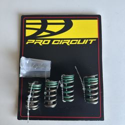 Pro Circuit valve spring kit for 17-19 kx250F