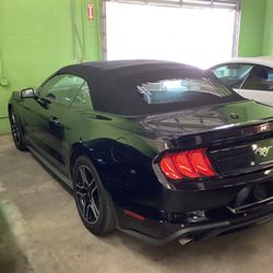 2020 Ford Mustang All Black 