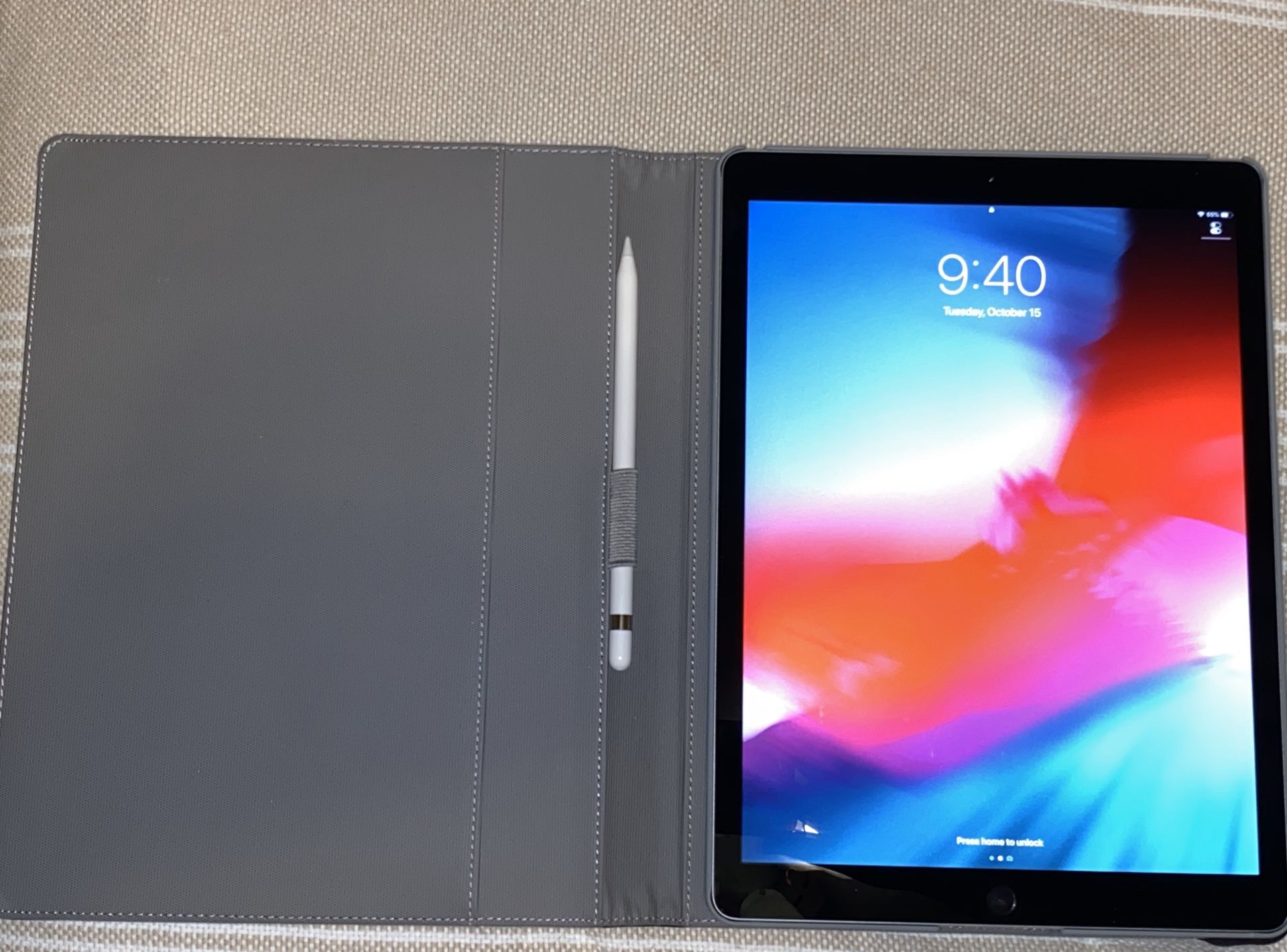 IPad Pro 12.9 (2nd Generation) [Case and Apple Pencil Included]