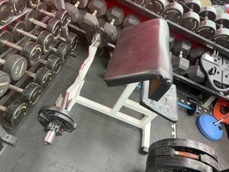 Preacher curl bench