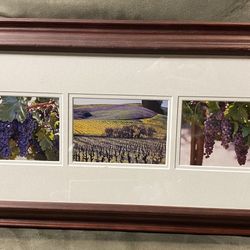 Vineyard/ Grape Framed Art