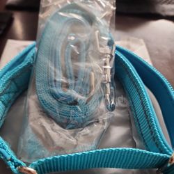 Dog Leash Near CRAIG/CLAYTON 