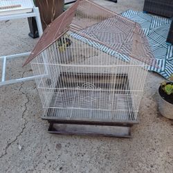 Bird Cage 