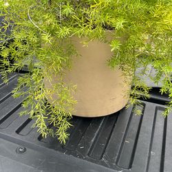 GAINEY CERAMICS/ LA VERNE