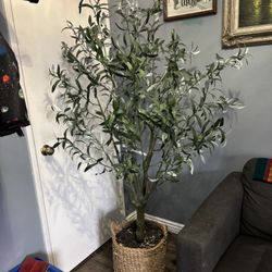 Olive Tree Fake - Looks Real Very Full