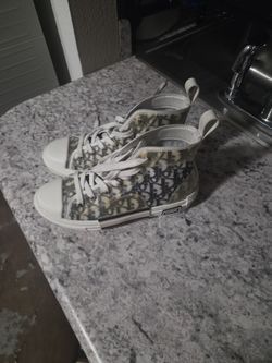 Dior B23 High Top Obliqu