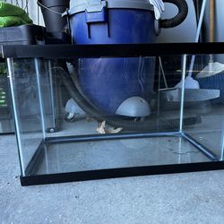 10 gallon aquarium