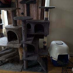Cat tree