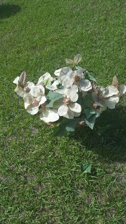 Florero