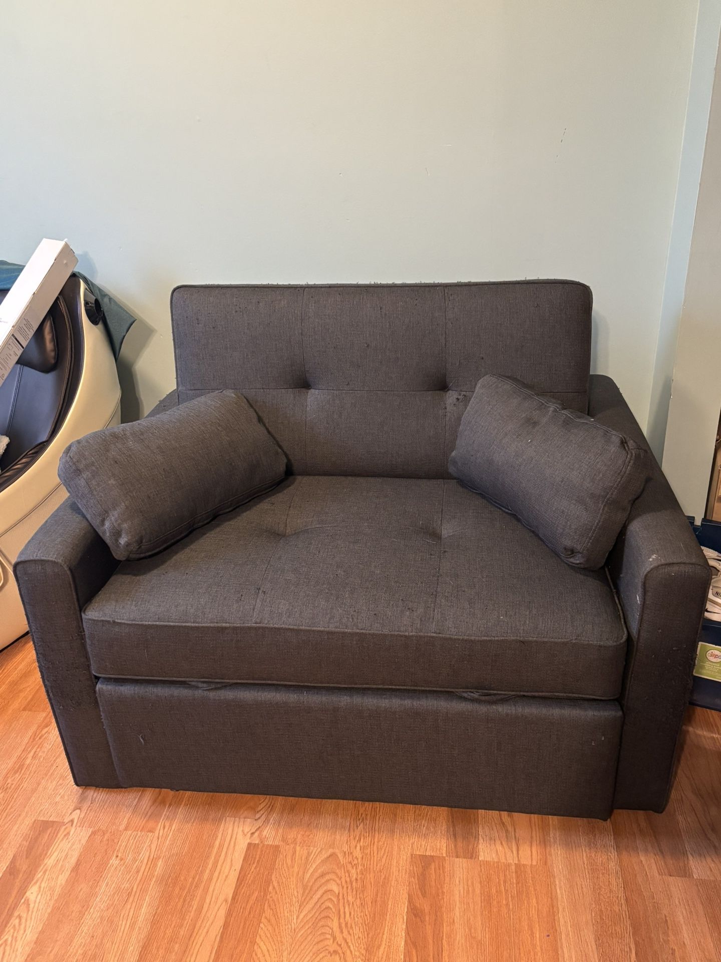 Serta Loveseat with Pull Out Sleeper Full