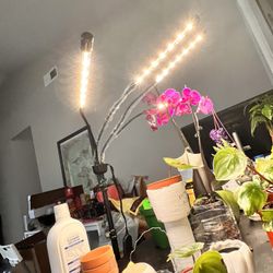 LED Grow Lights for Indoor Plants Full Spectrum Plant light