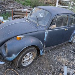 VW Bug / Beetle Parts