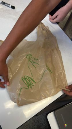 Signed Emiliano Bag
