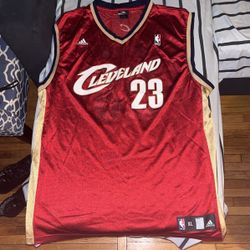 Lebron James Jersey