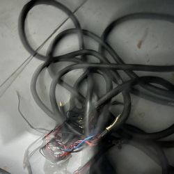 Prv 30 Medusa