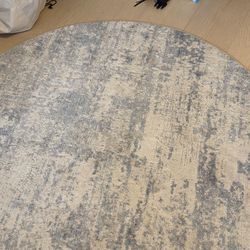Circular Rug (bought for $100)