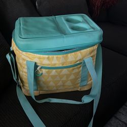 Refrigerated carry bag