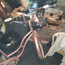 Bayshore Bike