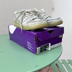 Nike Dunk Mummy SB