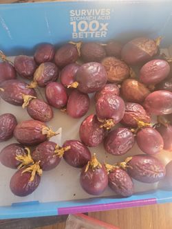 Passion Fruit