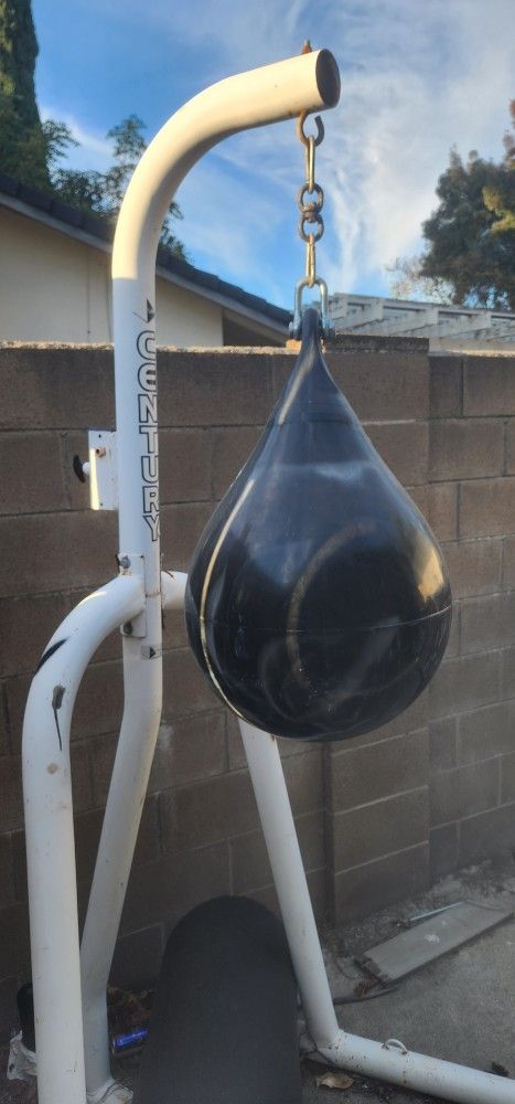 Aqua punching bag with stand