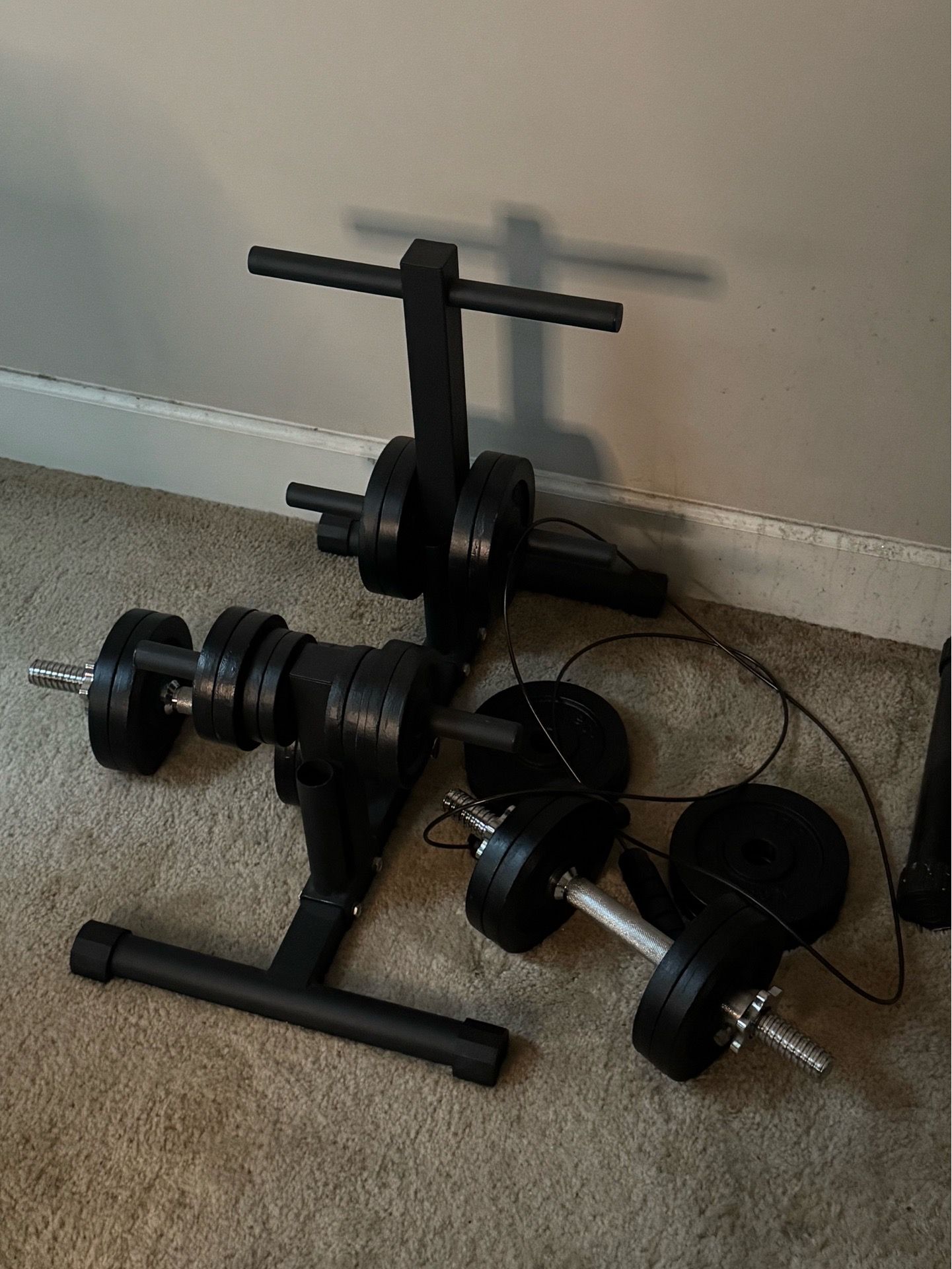 55lb Dumbbells with adjustable Bench