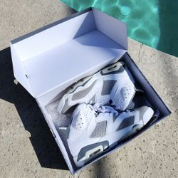 Air Jordan 6 Cool Grey