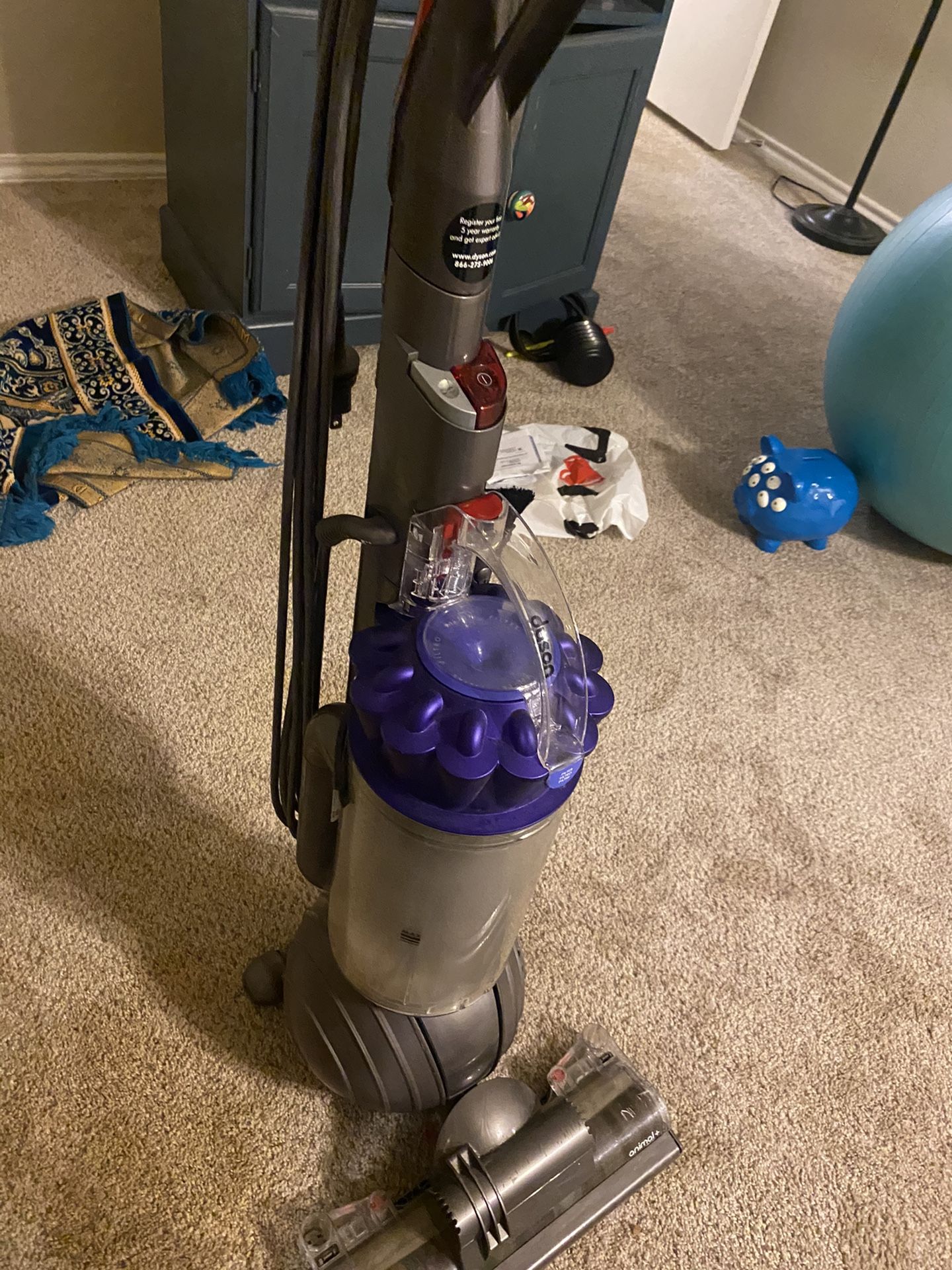 Dyson animal + vacuum