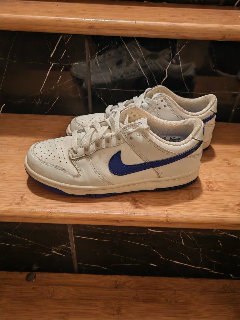 Nike Dunks Size 7