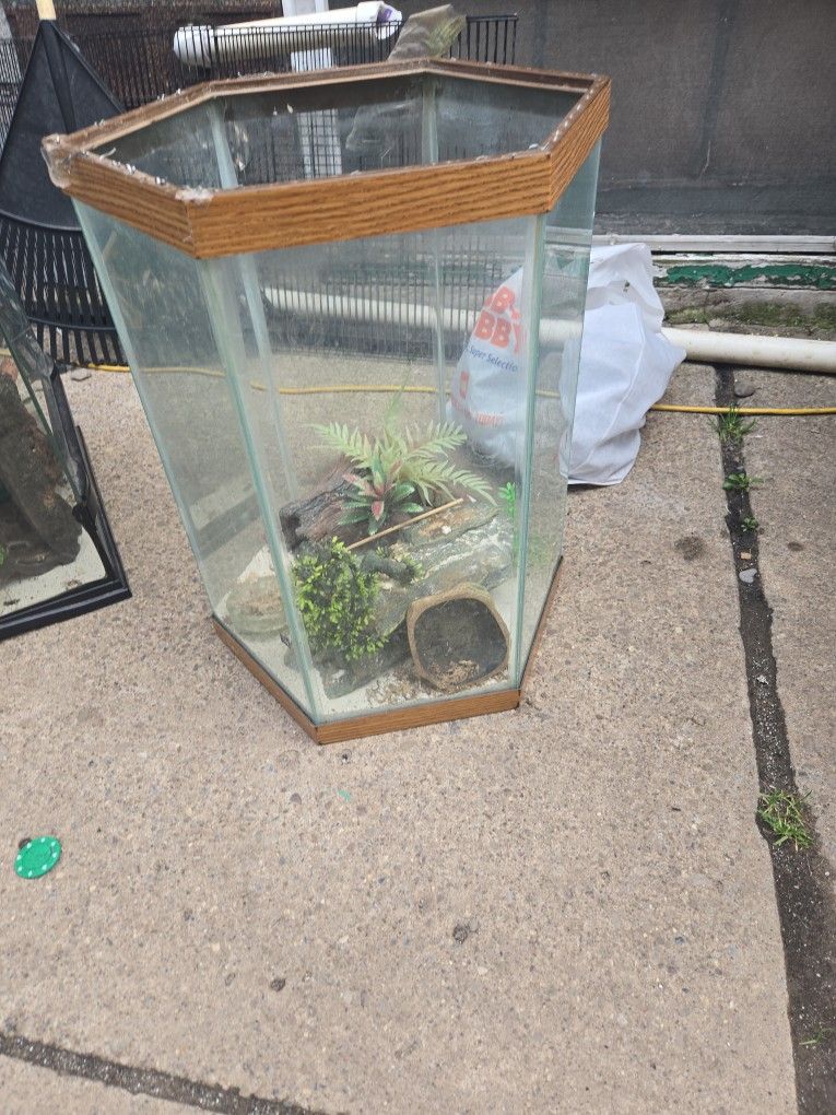 Reptile Terrarium