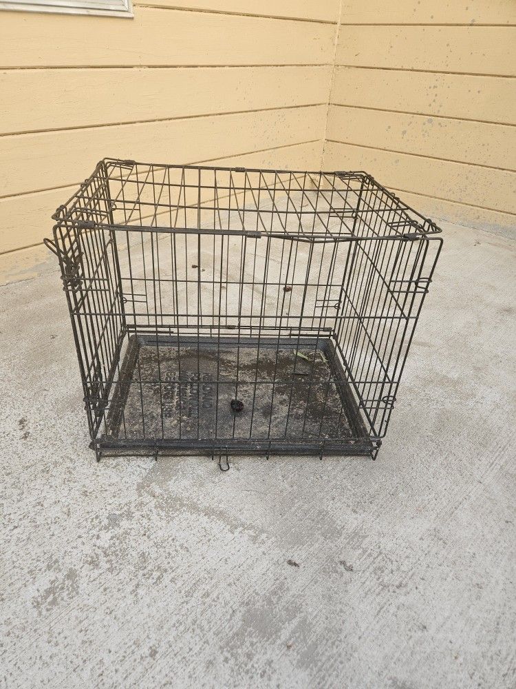 Jaula Personas Real Mente Interesadas Mandar Mensaje