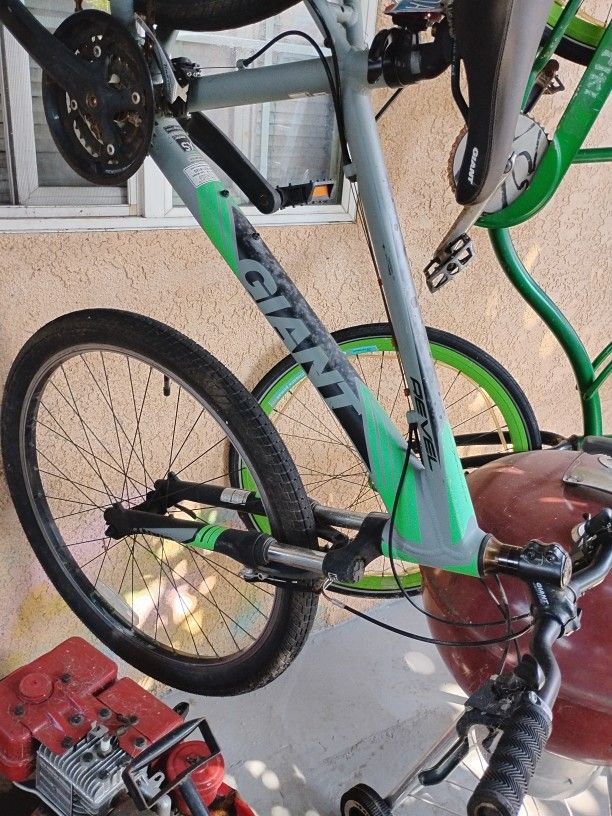 Men's Giant Bike