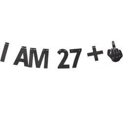 28 Birthday Banner - Sarcasm/gag/funny