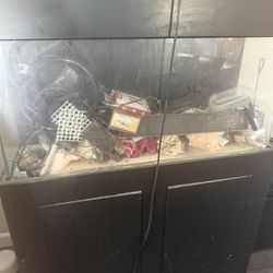 Aquarium For Sale