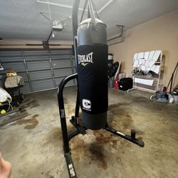 Everlast Punching Bag, with stand gloves and head gear