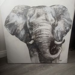 Elephant Frame 