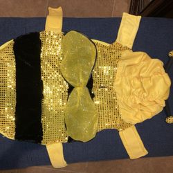 DOG HALLOWEEN Bee Costume