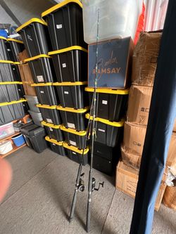 2 Offshore Saltwater Fishing Combos - Daiwa Sealine & USA All Star Rod