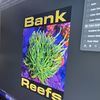 BANKREEFS