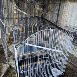 Jaula Para Pájaros, Bird Cage