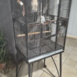 Jaula Negra De Hierro Fuerte Para Aves En Buenas Condiciones