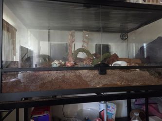 40 gal terrarium
